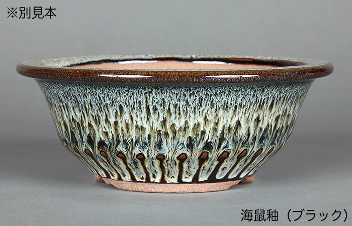 【廃盤希少品】横浜焼　MOTOMACHI 中皿　金彩　６枚セット 廃盤希少品】横浜焼MOTOMACHI 中皿金彩6枚セット