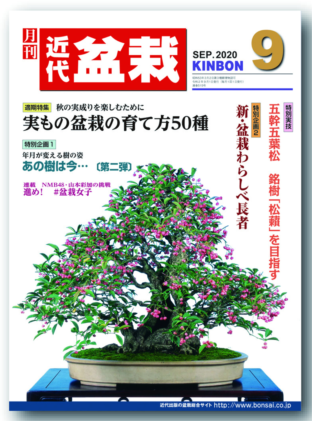 月刊 近代盆栽 年9月号 盆栽 盆栽書籍 盆栽鉢の通販 近代出版