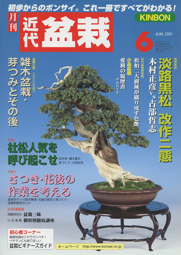 月刊「近代盆栽」2001年6月号