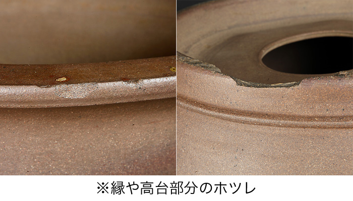 紫泥外縁額面正方鉢 | 盆栽、盆栽書籍、盆栽鉢の通販│近代出版