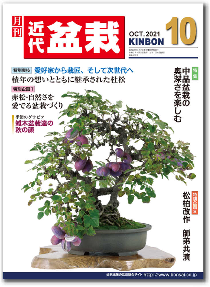 盆栽世界 1月号 (発売日2009年12月05日) | 雑誌/定期購読の予約