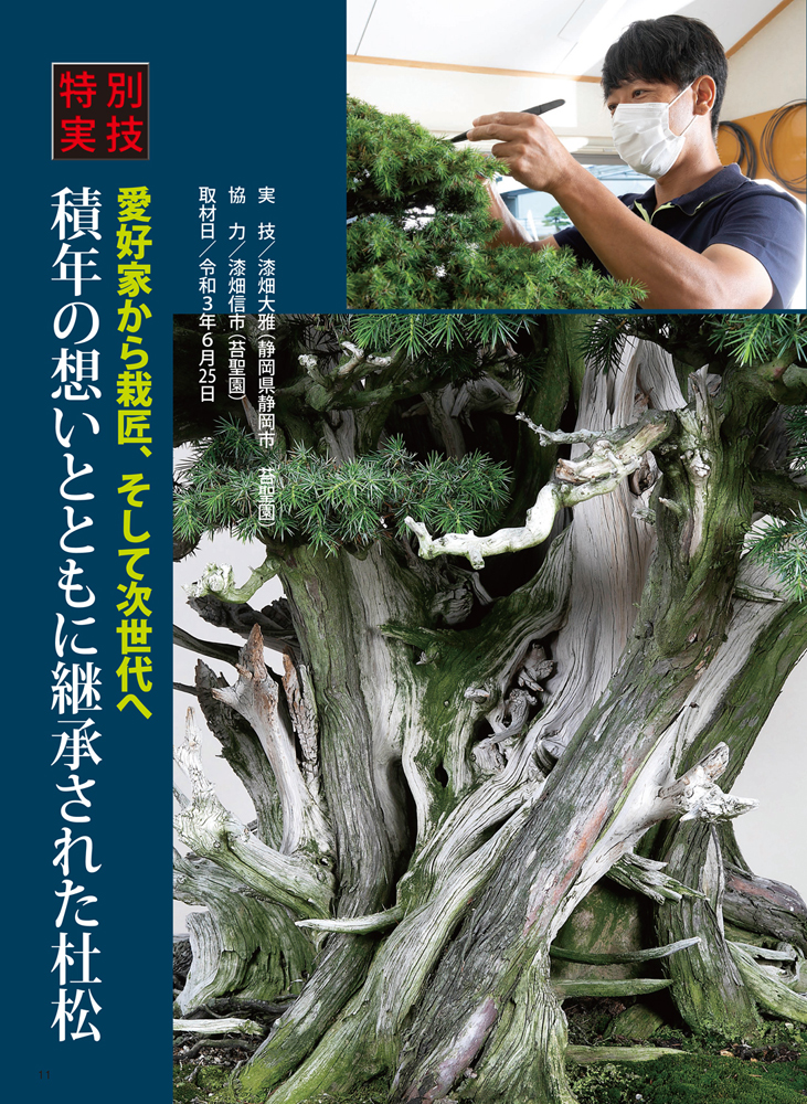 月刊「近代盆栽」2021年10月号 | 盆栽、盆栽書籍、盆栽鉢の通販