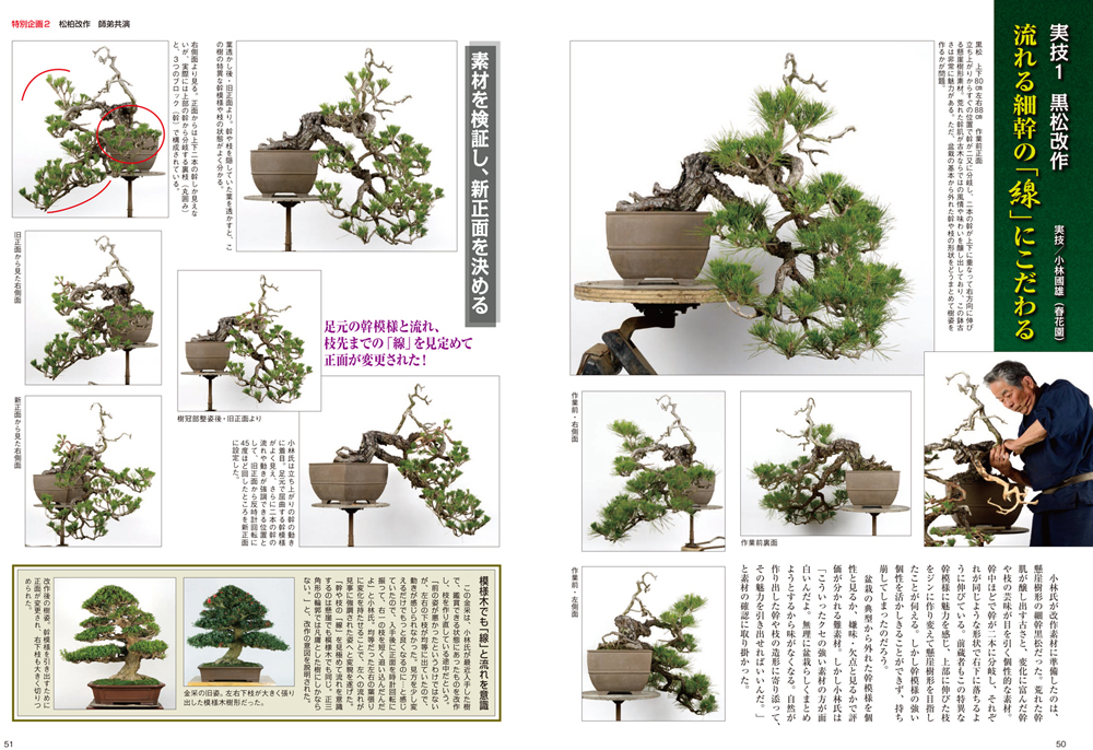 小品盆栽オークション #小品盆栽 #bonsai