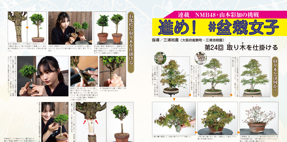 オール図解・盆栽技術大系 ｜古本買取ブックセンター
