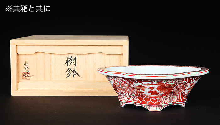 80/20クロス 平安 木泉 呉須赤絵写 魁 菓子鉢 共箱 赤絵鉢 鉢 茶道具