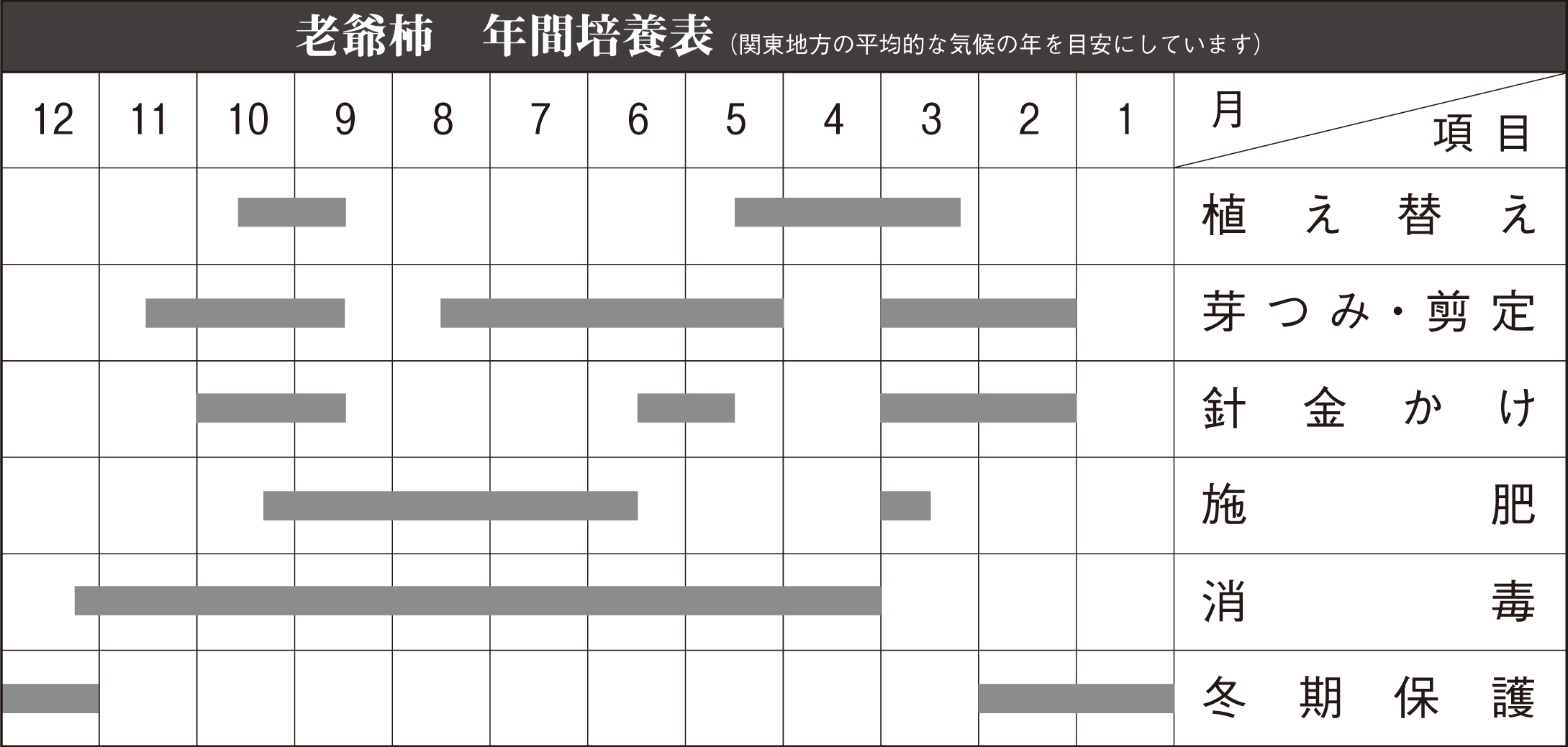 老爺柿　四季成り 楽天市場】苗：ろうや柿 都の四季（都紅の四季成り品種） : 遊恵