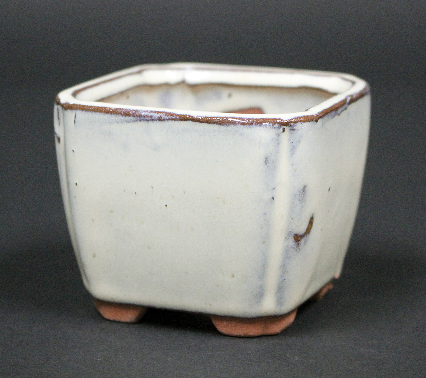 997 盆栽 盆栽鉢 植木鉢 中国鉢 白交趾 【公式通販】