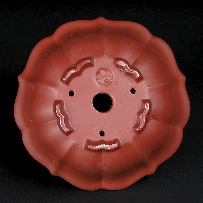 【中国盆栽古鉢】朱泥鉢  盆栽古鉢 盆栽鉢 植木鉢 山野草 中国古鉢 舟明倣古 朱泥 紫泥