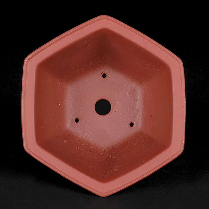 紫泥外縁額面六角鉢 | 盆栽、盆栽書籍、盆栽鉢の通販│近代出版