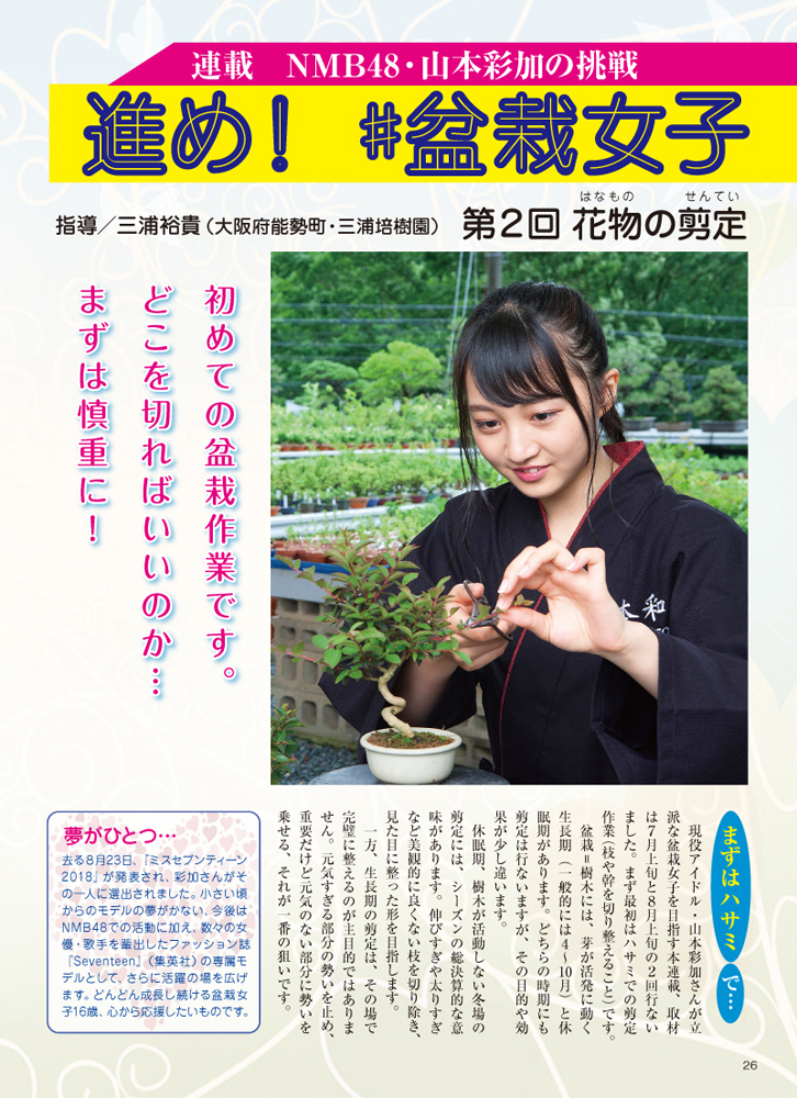 月刊「近代盆栽」2018年11月号 | 盆栽、盆栽書籍、盆栽鉢の通販