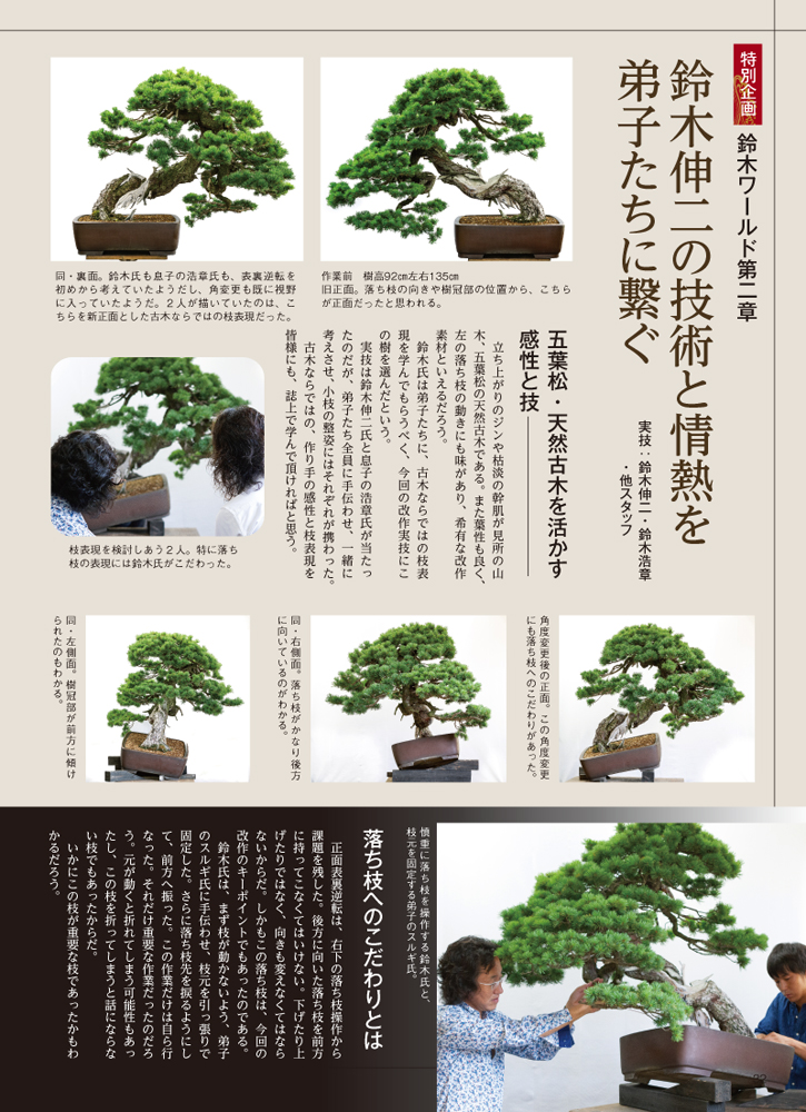 月刊「近代盆栽」2018年11月号 | 盆栽、盆栽書籍、盆栽鉢の通販