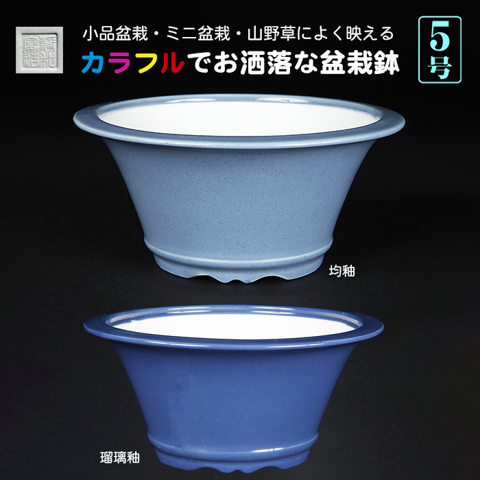 静和富造5号下紐丸鉢