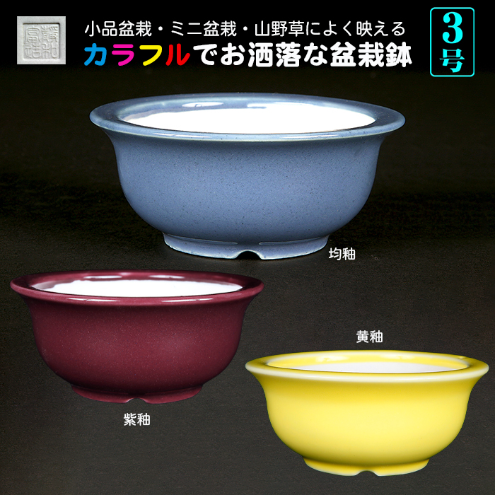 静和富造3号椀型丸鉢