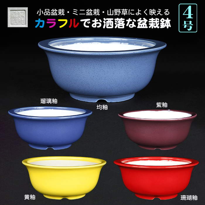 静和富造4号椀型丸鉢