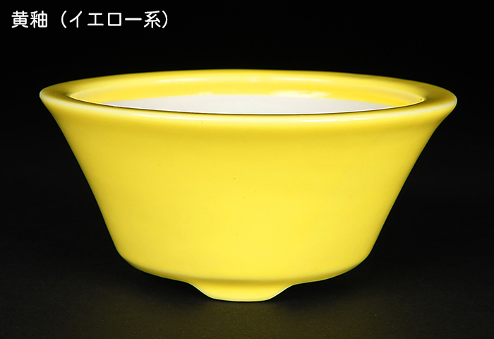 美芸　楕円　黄　盆栽鉢 美芸 楕円 黄 盆栽鉢 美芸 楕円 黄 盆栽鉢 美芸 楕円 盆栽