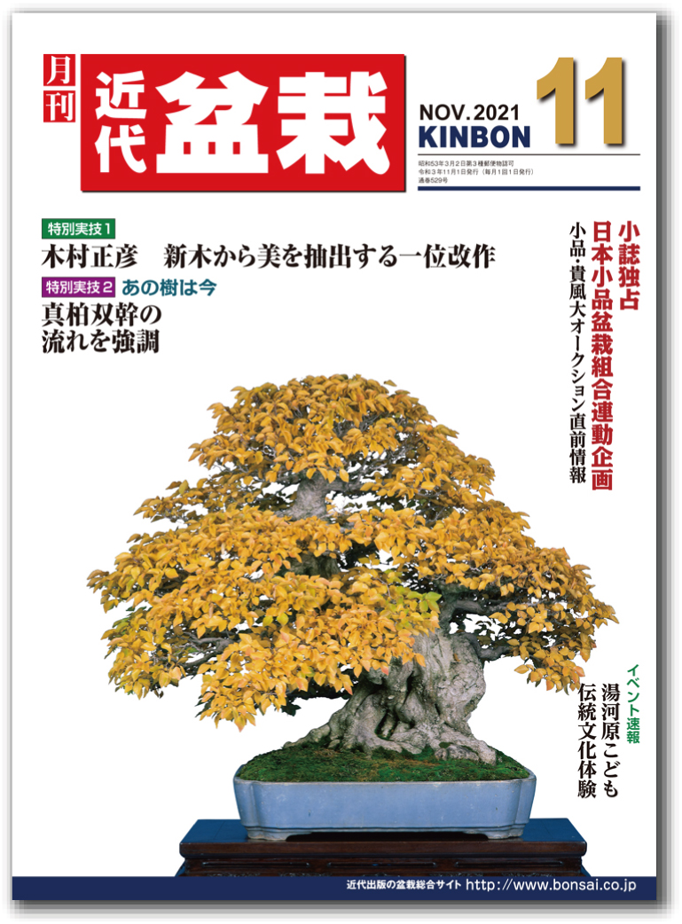 月刊「近代盆栽」2021年11月号 | 盆栽、盆栽書籍、盆栽鉢の通販