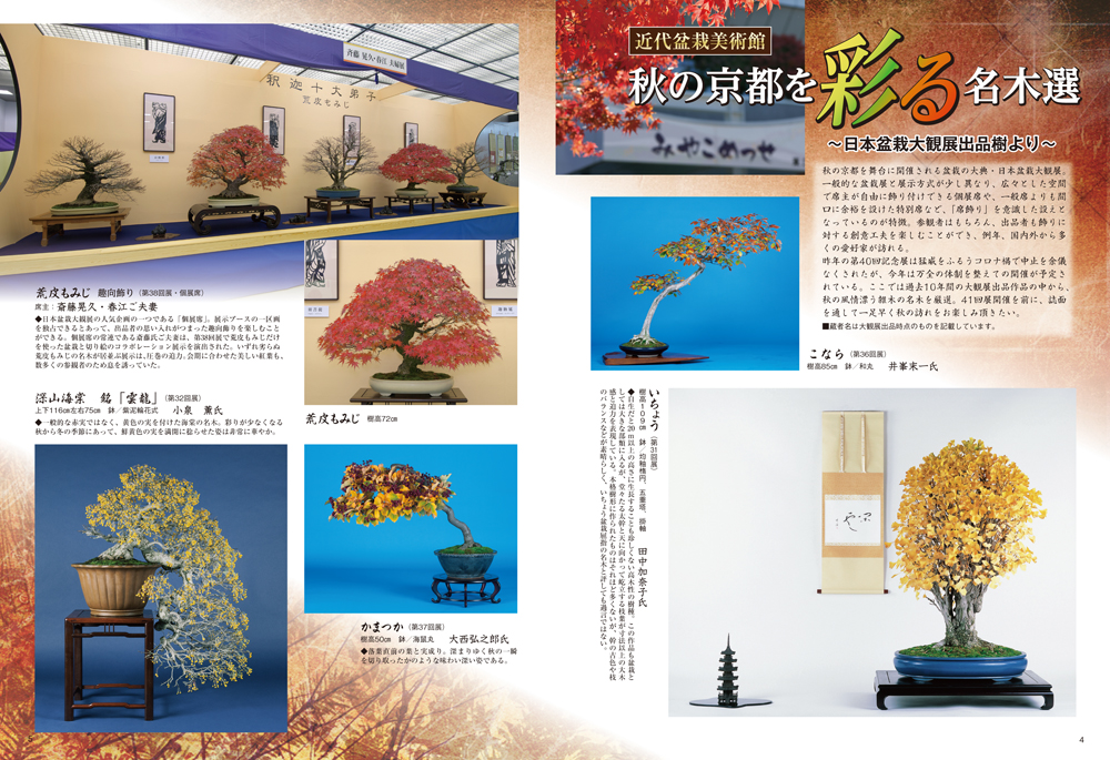 月刊「近代盆栽」2021年11月号 | 盆栽、盆栽書籍、盆栽鉢の通販