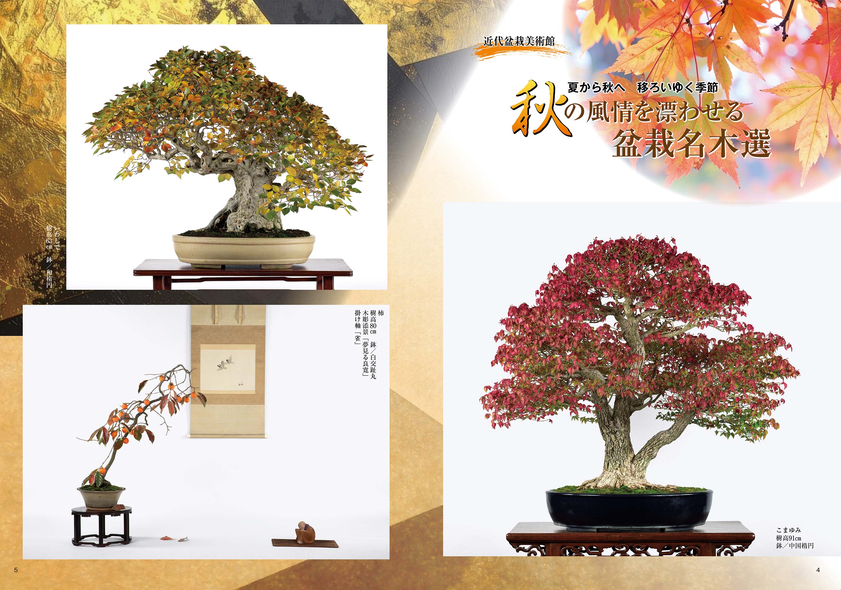 日本盆栽講座 第1巻-第11巻 日本盆栽講座 第1巻-第11巻 11冊セット(日本盆栽講座刊行会 編著