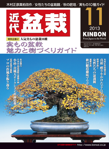 月刊「近代盆栽」2013年11月号