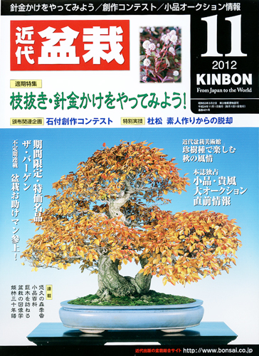 月刊「近代盆栽」2012年11月号