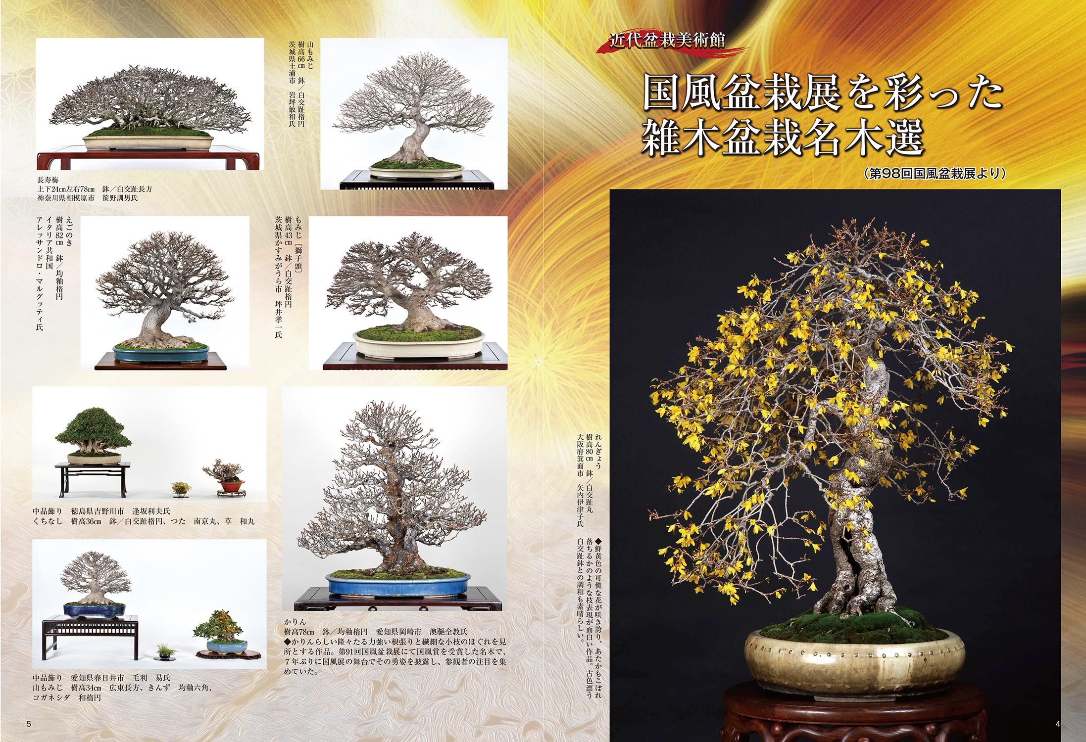 月刊「近代盆栽」2023年11月号 | 盆栽、盆栽書籍、盆栽鉢の通販│近代出版