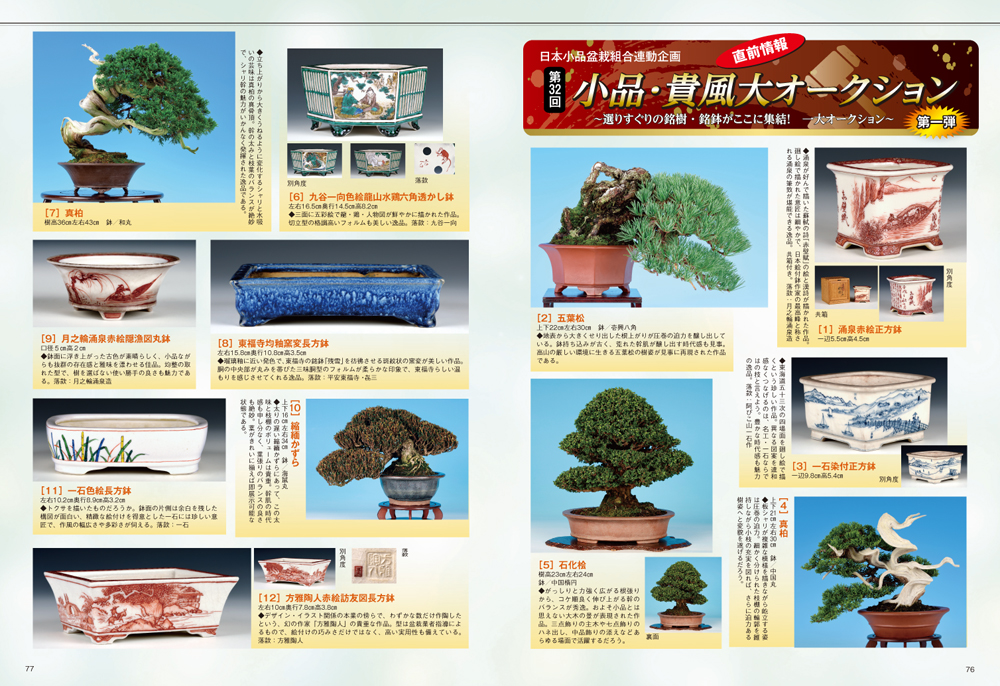 店舗 盆栽鉢 植木鉢 懸崖鉢 観葉植物 山野草 常滑焼 鼠 片岡芳山 