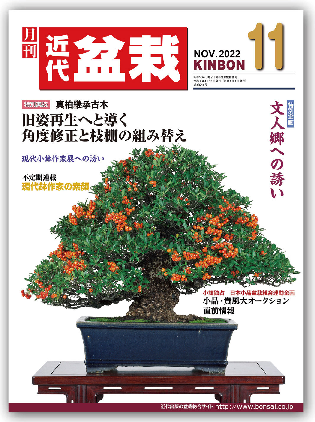 【ガチ盆栽】赤松　美姿　鉢:美芸　小品盆栽