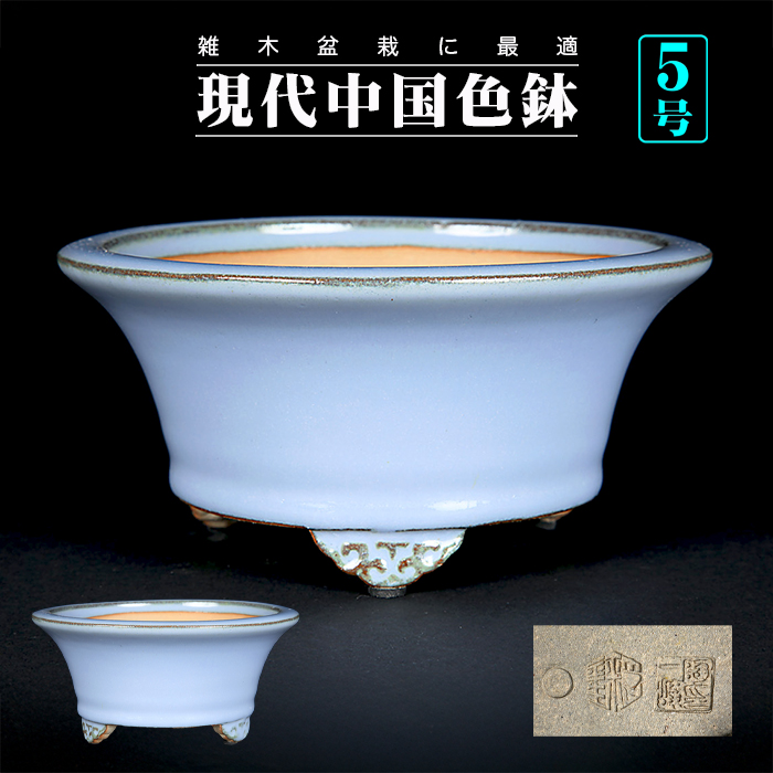 中古】盆栽鉢 天龍焼 楽雅 天龍 石仙 小型 長辺 約12.7cm