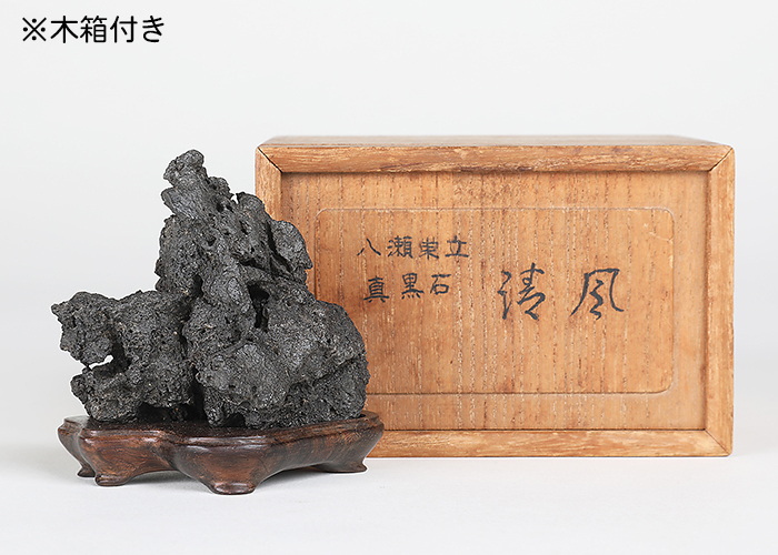 八瀬巣立真黒石 銘「涛風」 | 盆栽、盆栽書籍、盆栽鉢の通販 八瀬巣立真黒石 銘「涛風」 | 盆栽、盆栽書籍、盆栽鉢の通販