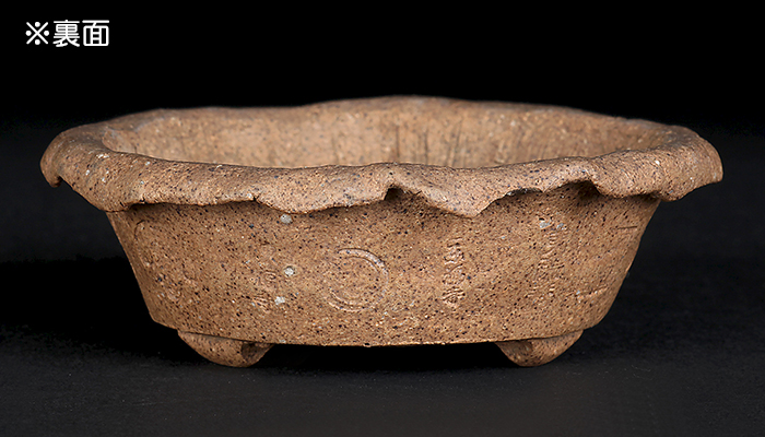 すぬ367 盆栽　盆栽鉢　植木鉢　和鉢　東福寺 すぬ367 盆栽 盆栽鉢 植木鉢 和鉢 東福寺 盆栽名鉢シリーズ