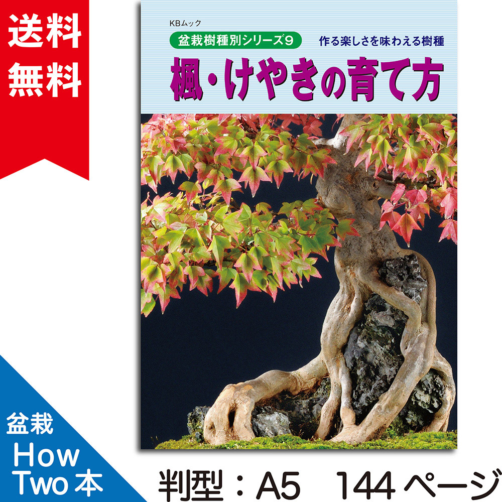 楓・けやきの育て方