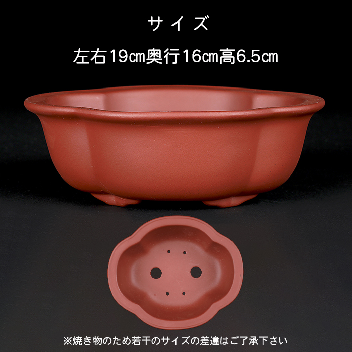 紫泥外縁木瓜式鉢 | 盆栽、盆栽書籍、盆栽鉢の通販│近代出版