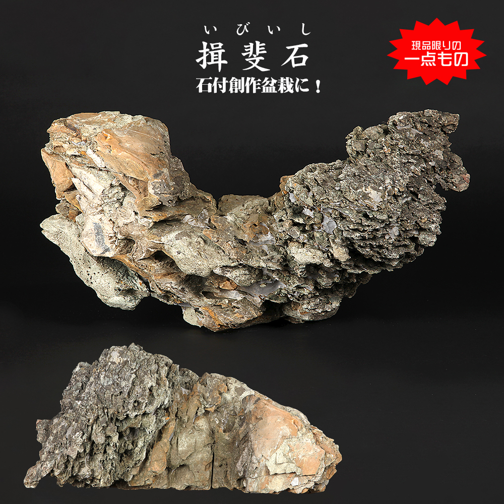 大鉢 | 盆栽、盆栽書籍、盆栽鉢の通販│近代出版