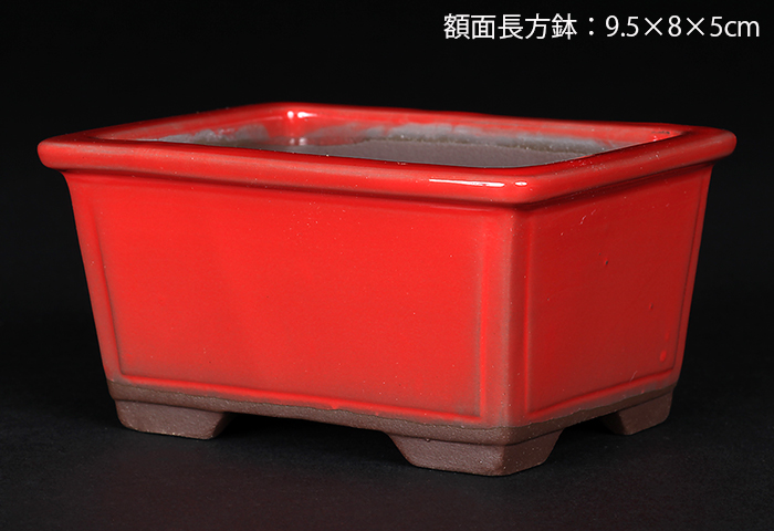 瀬戸焼文山窯赤釉小鉢4点セット | 盆栽、盆栽書籍、盆栽鉢の通販