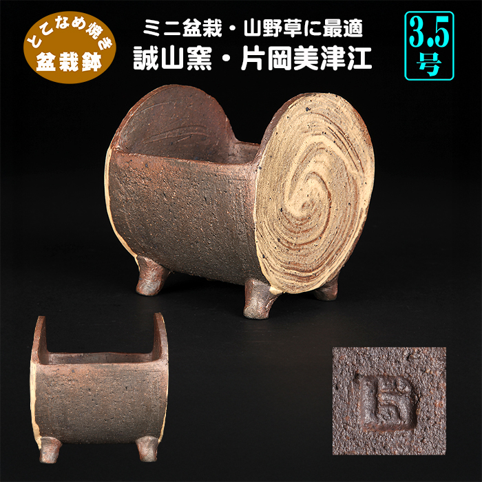 誠山窯 片岡美津江 | 盆栽、盆栽書籍、盆栽鉢の通販│近代出版