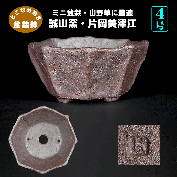 誠山窯 片岡美津江 | 盆栽、盆栽書籍、盆栽鉢の通販│近代出版
