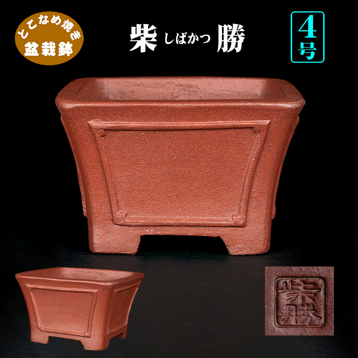 柴勝額面正方鉢 | 盆栽、盆栽書籍、盆栽鉢の通販│近代出版