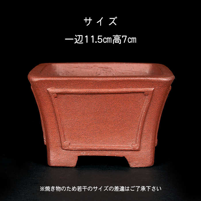 盆栽鉢　柴勝h 柴勝額面正方鉢 | 盆栽、盆栽書籍、盆栽鉢の通販│近代出版