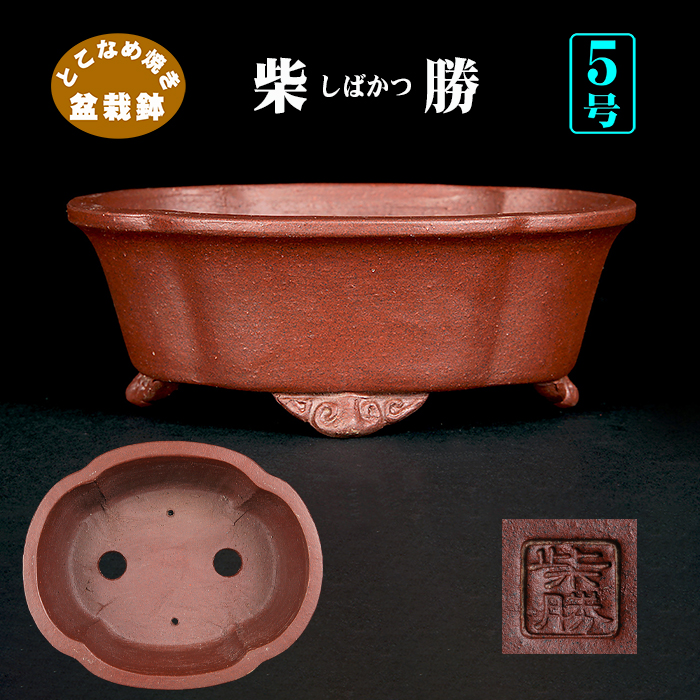 盆栽鉢 | 盆栽、盆栽書籍、盆栽鉢の通販│近代出版