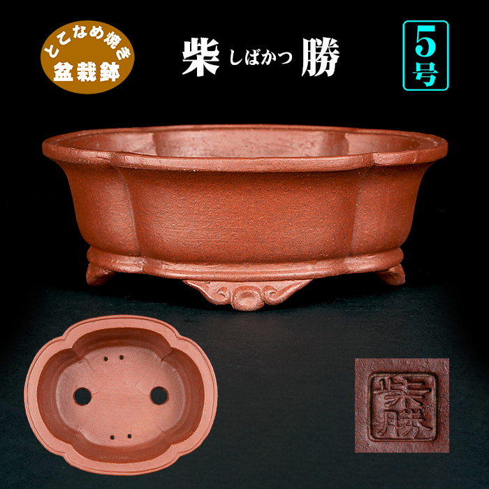 盆栽鉢 | 盆栽、盆栽書籍、盆栽鉢の通販│近代出版