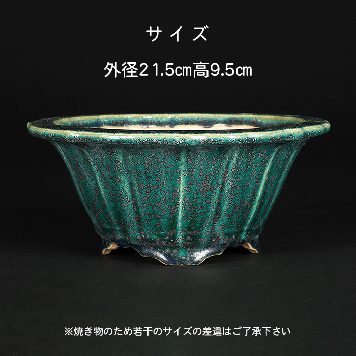 鴻陽織部釉古鏡型鉢丸鉢 | 盆栽、盆栽書籍、盆栽鉢の通販│近代出版