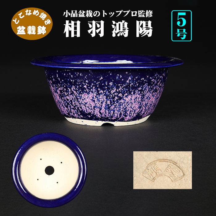 鴻陽陶園 | 盆栽、盆栽書籍、盆栽鉢の通販│近代出版