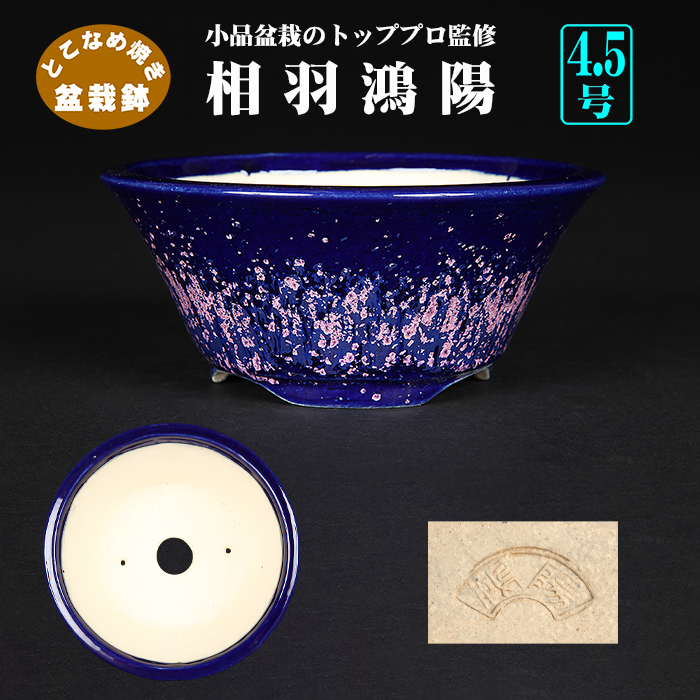 鴻陽陶園 | 盆栽、盆栽書籍、盆栽鉢の通販│近代出版