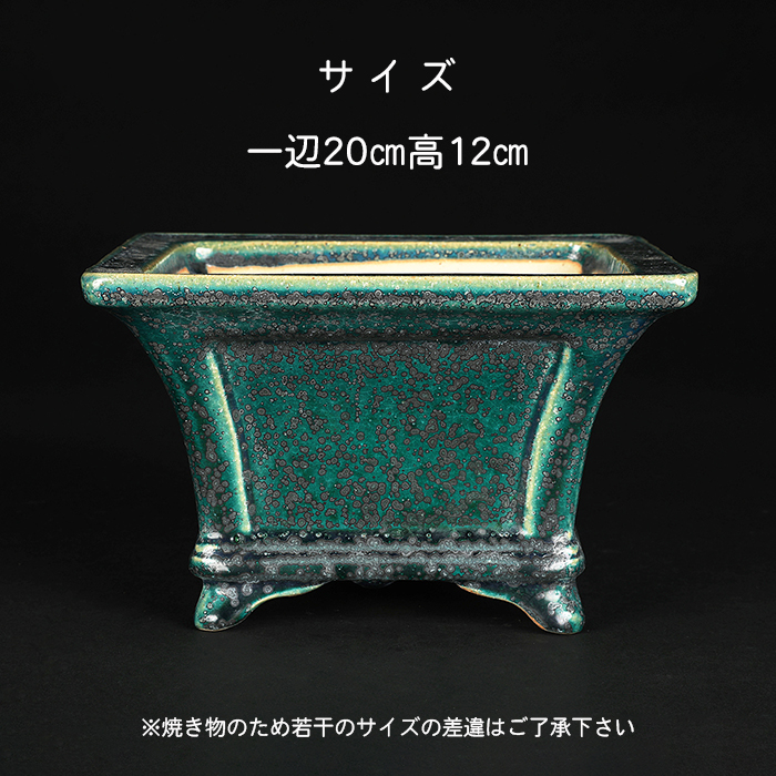 鴻陽織部釉額面正方鉢 | 盆栽、盆栽書籍、盆栽鉢の通販│近代出版