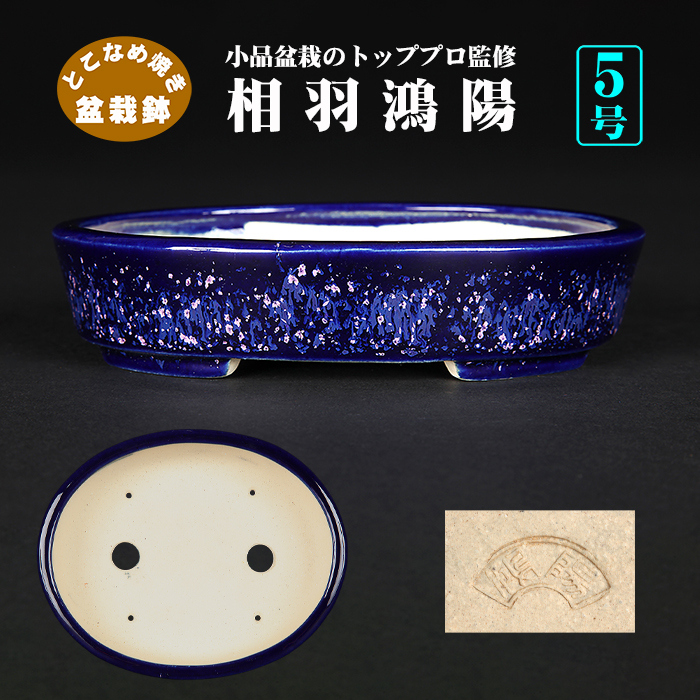 盆栽鉢　時代小品盆栽鉢窯変鉢鴻陽盆栽鉢山野草美品多肉植物サボテン植木鉢 盆栽鉢 名工時代ミニ盆栽鉢紫泥丸浅鉢美芸福専、