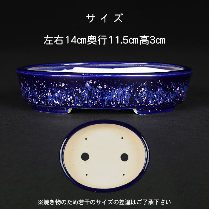 時代　紅端焼　楕円形　盆栽鉢　希少品 和泉屋8号外縁下紐雲足楕円鉢 - 盆栽鉢と常滑焼の店 MARUTATU