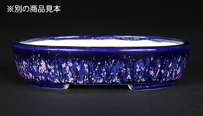 特大 桜陶 落款 緑釉 楕円 盆栽鉢 特大 桜陶 落款 緑釉 楕円