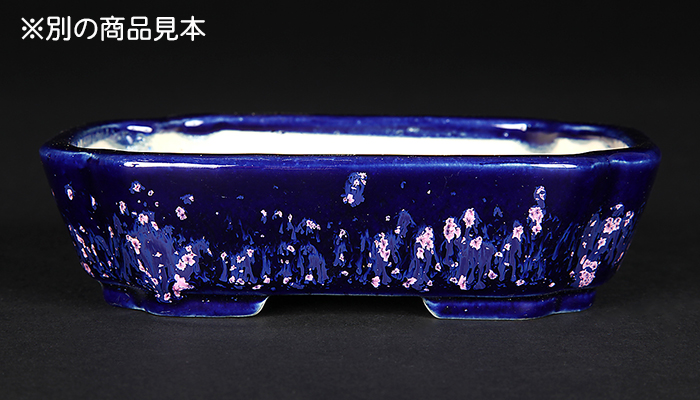 鴻陽瑠璃ピンク結晶釉隅入長方鉢 | 盆栽、盆栽書籍、盆栽鉢の