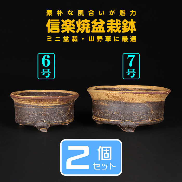 信楽焼 信楽焼たぬき50号 福ひねり狸 H151cm : 器屋一信ヤフー店