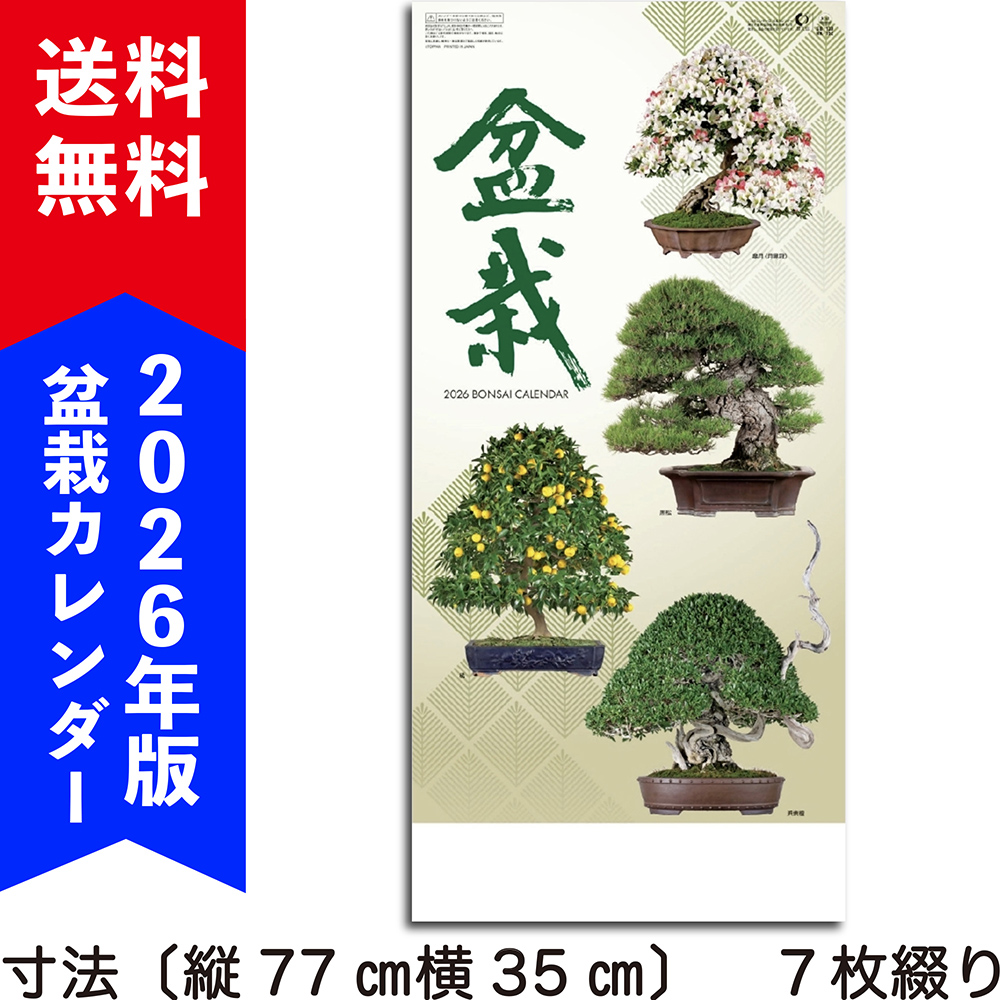 特別価格**「紅葉は、過去を美しく手放し、未来への扉を静かに開く力」大品盆栽 TOPページ | 盆栽、盆栽書籍、盆栽鉢の通販│近代出版